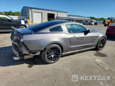 Trzecie zdjęcie samochodu z tyłu: 2014 FORD MUSTANG GT VIN:1ZVBP8CF6E5237053 - miniatura