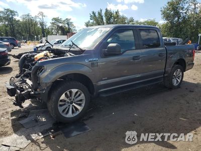 2017 FORD F150 SUPERCREW 1FTEW1EP4HFA64874 - główne zdjęcie licytacji z USA - miniatura