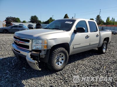 2009 CHEVROLET SILVERADO C1500 3GCEC13C49G118439 - główne zdjęcie licytacji z USA - miniatura