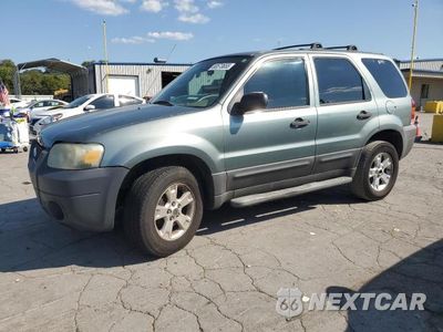 2007 FORD ESCAPE XLT 1FMYU03177KA24527 - główne zdjęcie licytacji z USA - miniatura