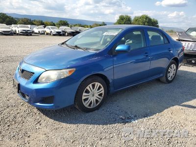 2010 TOYOTA COROLLA BASE 2T1BU4EE2AC320050 - główne zdjęcie licytacji z USA - miniatura