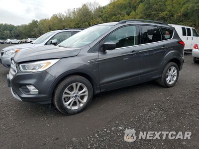 2019 FORD ESCAPE SEL 1FMCU9HDXKUA84848 - główne zdjęcie licytacji z USA - miniatura