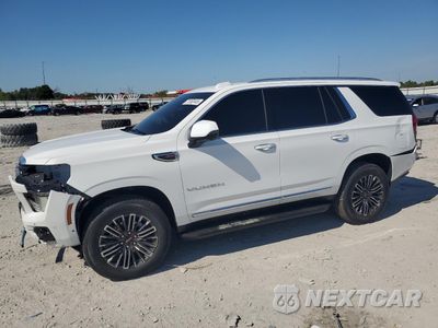 2025 GMC YUKON ELEVATION 1GKS2BRD1SR344279 - główne zdjęcie licytacji z USA - miniatura