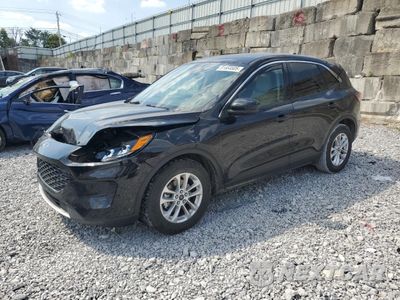 2020 FORD ESCAPE SE 1FMCU0G66LUB48030 - główne zdjęcie licytacji z USA - miniatura
