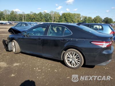 Drugie zdjęcie samochodu z przodu: 2019 TOYOTA CAMRY L VIN:4T1B11HK7KU808127 - miniatura