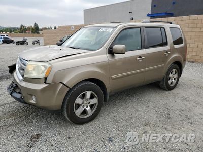 2010 HONDA PILOT EXL 5FNYF3H60AB020991 - główne zdjęcie licytacji z USA - miniatura