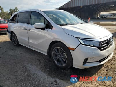 Czwarte zdjęcie samochodu z boku: 2024 HONDA ODYSSEY ELITE VIN:5FNRL6H94RB074430 - miniatura