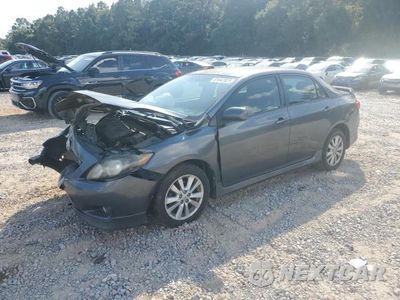 2010 TOYOTA COROLLA BASE 2T1BU4EE9AC432490 - główne zdjęcie licytacji z USA - miniatura