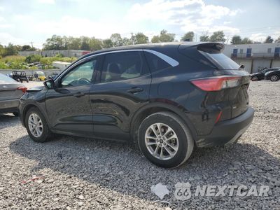 Drugie zdjęcie samochodu z przodu: 2020 FORD ESCAPE SE VIN:1FMCU0G66LUB48030 - miniatura