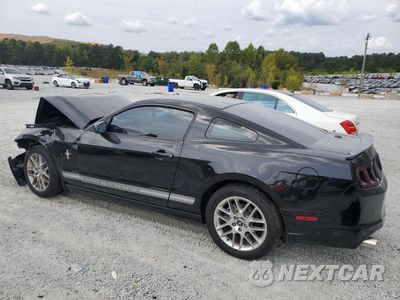 Drugie zdjęcie samochodu z przodu: 2014 FORD MUSTANG VIN:1ZVBP8AM4E5251065 - miniatura