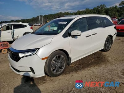 2024 HONDA ODYSSEY ELITE 5FNRL6H94RB074430 - główne zdjęcie licytacji z USA - miniatura