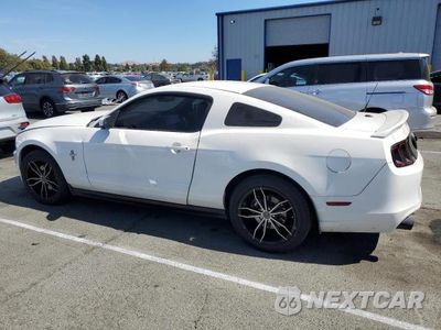 Drugie zdjęcie samochodu z przodu: 2013 FORD MUSTANG VIN:1ZVBP8AM9D5273934 - miniatura
