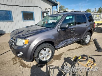 2011 FORD ESCAPE XLT 1FMCU0DG6BKB20364 - główne zdjęcie licytacji z USA - miniatura