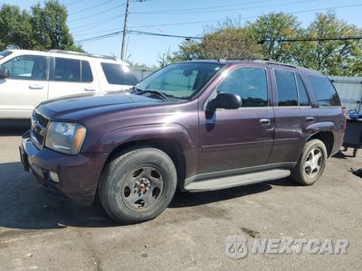 2009 CHEVROLET TRAILBLAZER LT 1GNDT33S592102197 - główne zdjęcie licytacji z USA - miniatura
