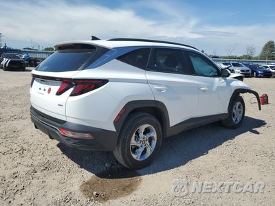 Trzecie zdjęcie samochodu z tyłu: 2024 HYUNDAI TUCSON SEL VIN:5NMJBCDE8RH324994 - miniatura