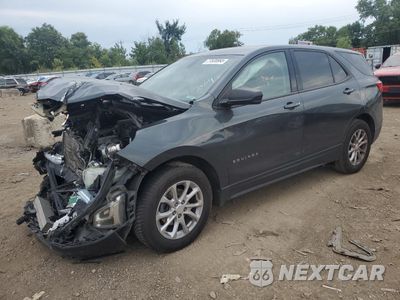 2019 CHEVROLET EQUINOX LS 3GNAXHEV9KS581004 - główne zdjęcie licytacji z USA - miniatura