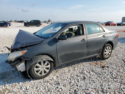 2010 TOYOTA COROLLA BASE JTDBU4EE2AJ082270 - główne zdjęcie licytacji z USA - miniatura
