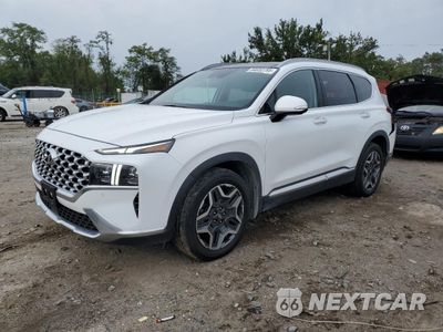 2021 HYUNDAI SANTA FE LIMITED 5NMS44AL9MH318895 - główne zdjęcie licytacji z USA - miniatura