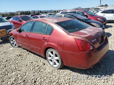 Drugie zdjęcie samochodu z przodu: 2006 NISSAN MAXIMA SE VIN:1N4BA41E26C801677 - miniatura