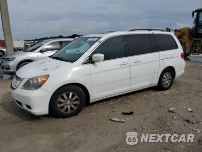 2010 HONDA ODYSSEY EXL 5FNRL3H71AB107806 - główne zdjęcie licytacji z USA - miniatura