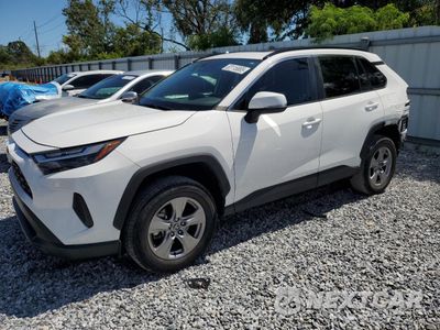 2023 TOYOTA RAV4 XLE 2T3W1RFV1PW280466 - główne zdjęcie licytacji z USA - miniatura