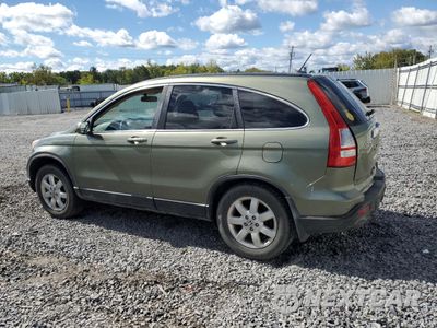 Drugie zdjęcie samochodu z przodu: 2009 HONDA CR-V EXL VIN:5J6RE48739L030245 - miniatura