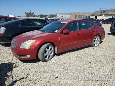 2006 NISSAN MAXIMA SE 1N4BA41E26C801677 - główne zdjęcie licytacji z USA - miniatura