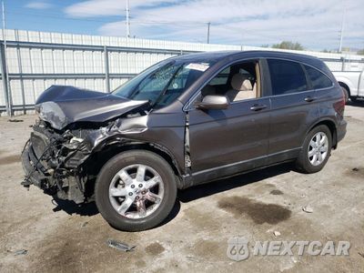 2009 HONDA CR-V EXL 5J6RE38799L006638 - główne zdjęcie licytacji z USA - miniatura