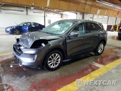 2020 FORD ESCAPE SE 1FMCU0G60LUB84098 - główne zdjęcie licytacji z USA - miniatura