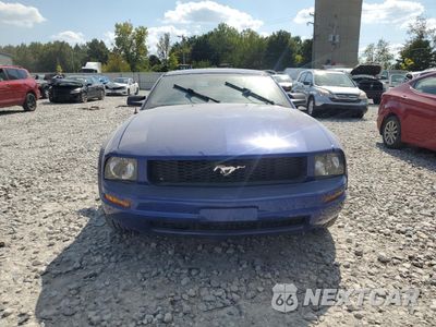 Piąte zdjęcie samochodu w środku: 2005 FORD MUSTANG VIN:1ZVFT80N155253105 - miniatura