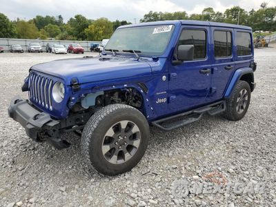 2019 JEEP WRANGLER UNLIMITED SAHARA 1C4HJXEN8KW521061 - główne zdjęcie licytacji z USA - miniatura