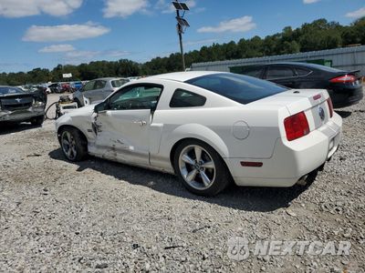 Drugie zdjęcie samochodu z przodu: 2007 FORD MUSTANG GT VIN:1ZVHT82H675359665 - miniatura
