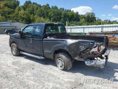 Drugie zdjęcie samochodu z przodu: 2011 FORD F250 SUPER DUTY VIN:1FT7X2B69BEC61365 - miniatura