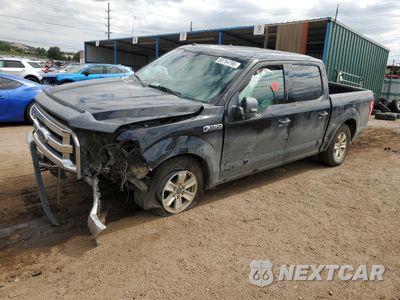 2016 FORD F150 SUPERCREW 1FTEW1EG1GKE33258 - główne zdjęcie licytacji z USA - miniatura
