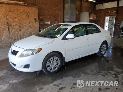 2010 TOYOTA COROLLA BASE 2T1BU4EE7AC225158 - główne zdjęcie licytacji z USA - miniatura