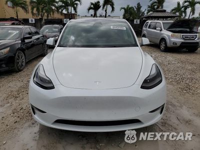 Piąte zdjęcie samochodu w środku: 2024 TESLA MODEL Y VIN:7SAYGDED6RF098213 - miniatura