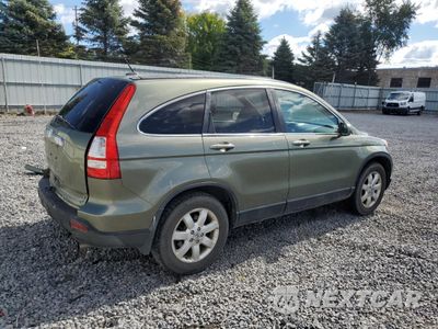 Trzecie zdjęcie samochodu z tyłu: 2009 HONDA CR-V EXL VIN:5J6RE48739L030245 - miniatura