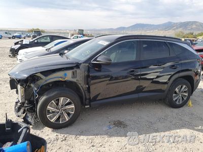 2022 HYUNDAI TUCSON BLUE KM8JBCA11NU028277 - główne zdjęcie licytacji z USA - miniatura