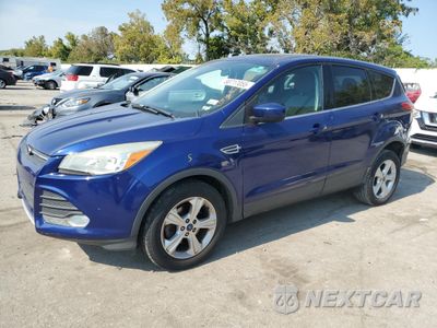 2014 FORD ESCAPE SE 1FMCU0GX9EUD71576 - główne zdjęcie licytacji z USA - miniatura
