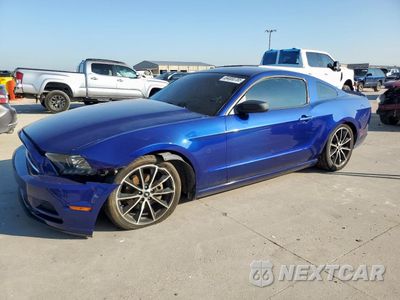 2013 FORD MUSTANG 1ZVBP8AM0D5274762 - główne zdjęcie licytacji z USA - miniatura