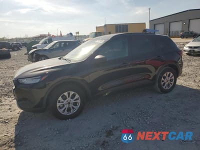 2025 FORD ESCAPE ACTIVE 1FMCU9GN6SUA30747 - główne zdjęcie licytacji z USA - miniatura