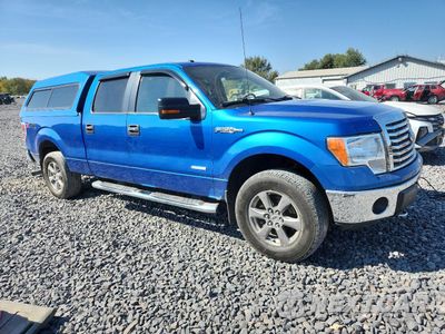 Czwarte zdjęcie samochodu z boku: 2012 FORD F150 SUPERCREW VIN:1FTFW1ETXCFA62038 - miniatura