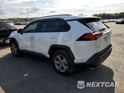 Drugie zdjęcie samochodu z przodu: 2024 TOYOTA RAV4 XLE VIN:4T3RWRFV1RU117723 - miniatura