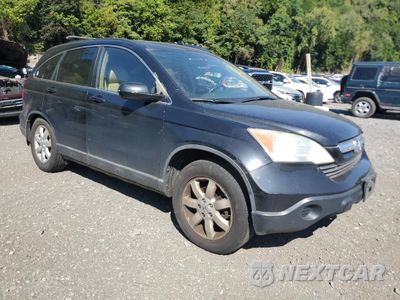 Czwarte zdjęcie samochodu z boku: 2009 HONDA CR-V EXL VIN:5J6RE48739L068770 - miniatura