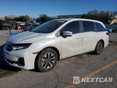 2025 HONDA ODYSSEY EXL 5FNRL6H62SB012519 - główne zdjęcie licytacji z USA - miniatura