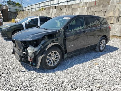 2019 CHEVROLET EQUINOX LS 3GNAXHEV4KL365992 - główne zdjęcie licytacji z USA - miniatura