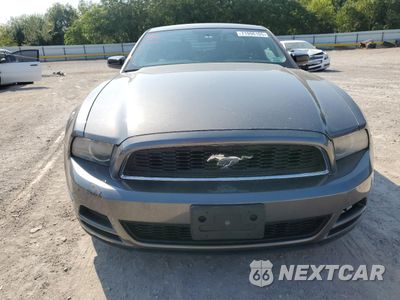 Piąte zdjęcie samochodu w środku: 2013 FORD MUSTANG VIN:1ZVBP8AM8D5216091 - miniatura