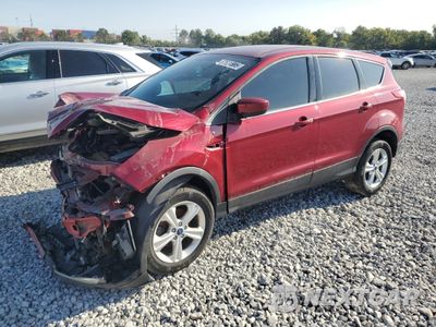 2014 FORD ESCAPE SE 2FMPK4J98KBB45572 - główne zdjęcie licytacji z USA - miniatura