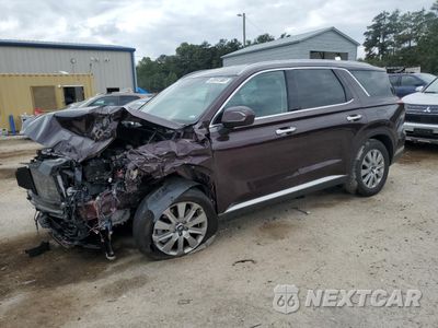 2025 HYUNDAI PALISADE SEL KM8R24GEXSU826386 - główne zdjęcie licytacji z USA - miniatura