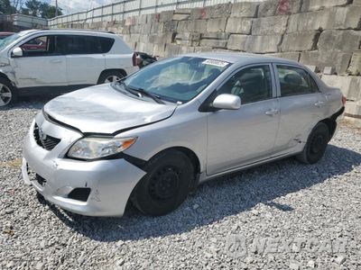 2010 TOYOTA COROLLA BASE 2T1BU4EE5AC307115 - główne zdjęcie licytacji z USA - miniatura